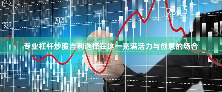 专业杠杆炒股吉利选择在这一充满活力与创意的场合